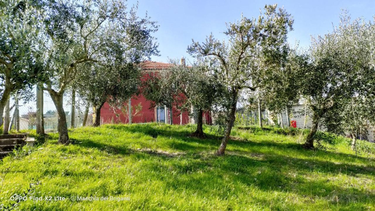 Agriturismo Macchia Dei Briganti - B&B Montefalcione Zewnętrze zdjęcie