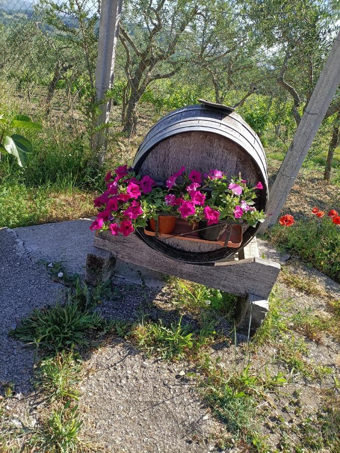 Agriturismo Macchia Dei Briganti - B&B Montefalcione Zewnętrze zdjęcie